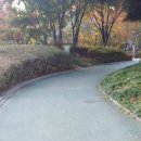 용산-현장-1091 | 마포 자재반출 곰방