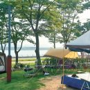 인천송도국제캠핑장 이미지