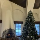 에코랜드수영장 | 겨울 제주 여행 2탄 🍊 에코랜드 호텔 호캉스 뷔페 수영장 후기