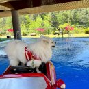 반디빌리지 이미지