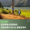 춘천태동요양병원 | 춘천암요양병원 춘천태동요양병원, 통합암 케어의 시작