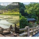 욜로오이소 이미지