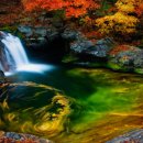 탄금호순환자전거길 5 이미지