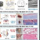 피부美인