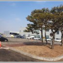 당근경매장