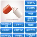 장스 팜