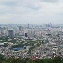 남산 산책로 이미지