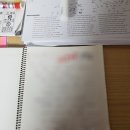 욜로인 게스트 하우스 | 제주 공항을 걸어서 갈 수 있는 뚜벅이 추천 숙소 욜로 제주 게스트하우스 방문후기