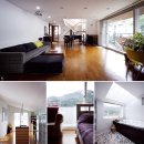 김정남사무소 이미지