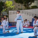 용인대멋진태권도 이미지