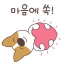 약국은 허준 이미지
