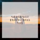 브이의원 이미지