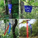 바우길 1구간 이미지