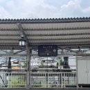 영화직물자판기 | 오사카 교토 여행 아라시야마 대나무숲만 보러 간다고요? 진짜 매력은 따로 있습니다
