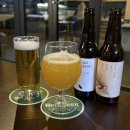 7636 | 대전 봉명동 맛집 테판정라운지 크래프트맥주 2차 술집 후기