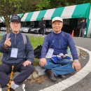 제53회 경맥가을축제 이미지