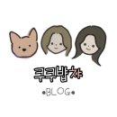 카페앤세차 네이버블로그