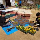 김봉수 농장 이미지