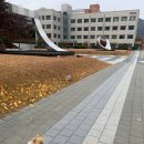 김호두 - 관악구 대학길 46 | 김호두