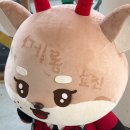 UR(경주시)-[동해안로]-하-13 | 250601~250630 그냥 이제 현실연애를 하고파... 예를 들면 차은우