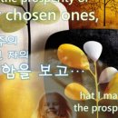 김문수농장 이미지