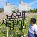 코스모스지