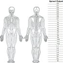 평가 툴 (physical exam) 이미지