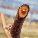 일비농장 이미지