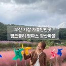 기장군농업기술센터 | 부산 가볼만한곳 핑크뮬리 팜파스 기장 광산마을 위치 포토존