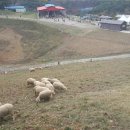 성호목장 이미지