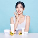 란제리화장품 스타뉴스