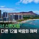 2025년 국제꽃장식대회 이미지