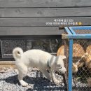 제주 서귀포 숙소 에가톳 리트릿 후기 | 숲속 프라이빗 캐빈 힐링 여행
