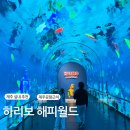 제주 실내 하리보 해피월드 아이와가볼만한곳 할인 주차