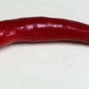 부산예술고등학교 이미지