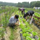 한성농장 이미지