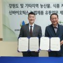 강원푸드 이미지
