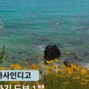 까사하나 네이버블로그