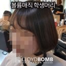 로이드밤 구서점 이미지