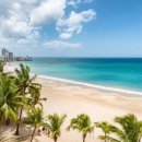 카리브해 이미지