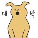 세탁프리워시 이미지