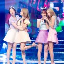 카라 미디어 이미지