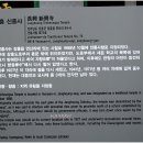 신흥사