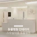 스무살의꿈 동물병원 | [무아디자인] 서울 송파구 신규 오픈 예정 동물병원 &#39;스무살의꿈동물병원&#39;