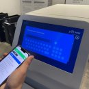 K&D 리듬체조(제주점) | [제주] 애월 981파크 풀패키지 카트, 서바이벌 후기(+꿀팁)_제주 실내 가볼만한곳