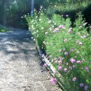 풍경안에서 이미지