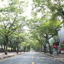 물고기의눈물이호수로 이미지