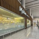 범범푸드 | 마티나 라운지 인천공항 제2터미널 세미뷔페 후기! 위치,가격, 메뉴 및 이용팁 총정리