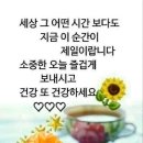 방울토마토 식후 구토 원인은 &#39;토마틴&#39; 이미지