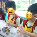 동해 초등학교 병설유치원 이미지